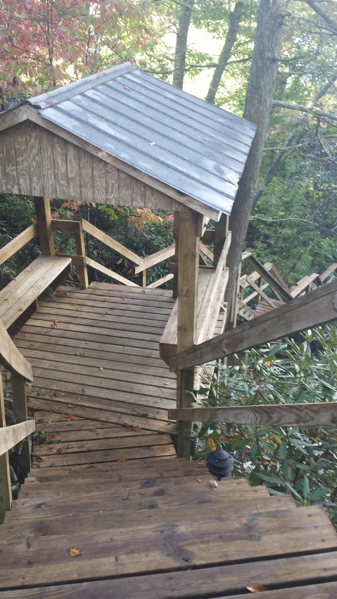 Metal roofed shelter over wooden steps on a wooded walkway — Skylight Repair & Installation work by our crew in Petal
